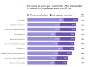 Gráfico que resume el porcentaje de pymes que respondieron «muy preocupadas o bastante preocupadas por retos específicos».